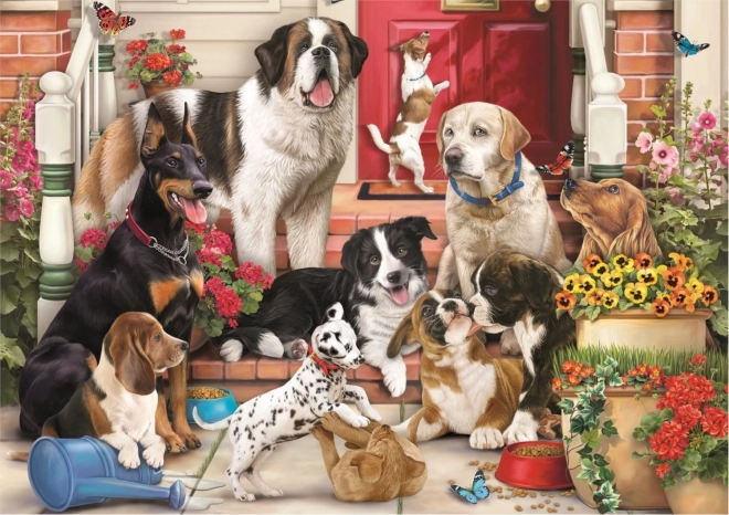 Puzzle formes cachées chien amusement