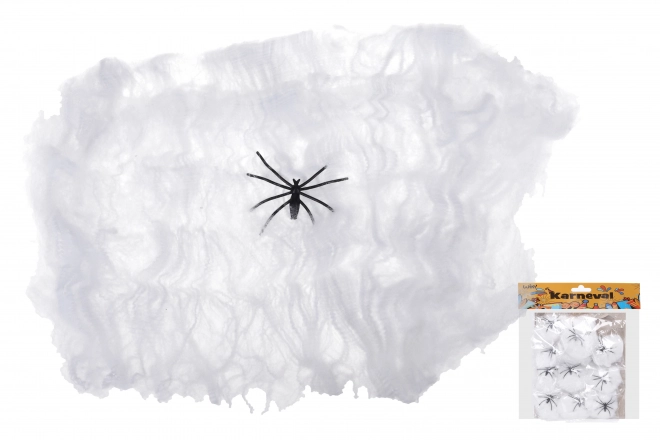 Toile d'araignée d'Halloween avec araignée