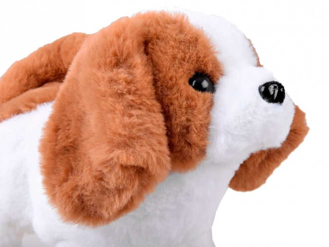 Chien interactif Beagle avec accessoires