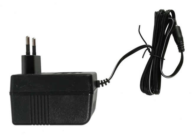 Chargeur 12V/1000mA pour véhicules électriques et batteries de jouets