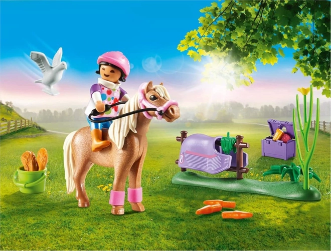 PLAYMOBIL® Country 70514 Poney islandais à collectionner
