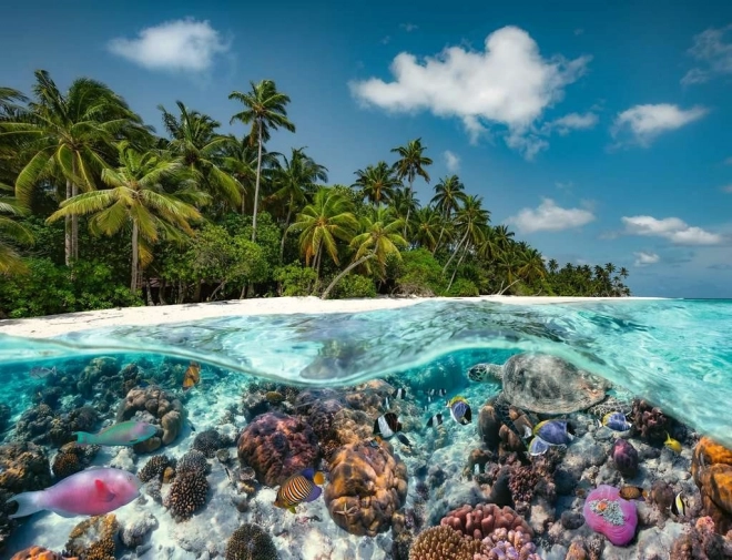 Puzzle Plongée aux Maldives