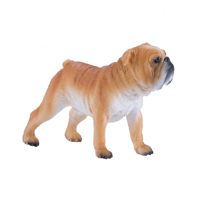 Mojo Bulldog Anglais