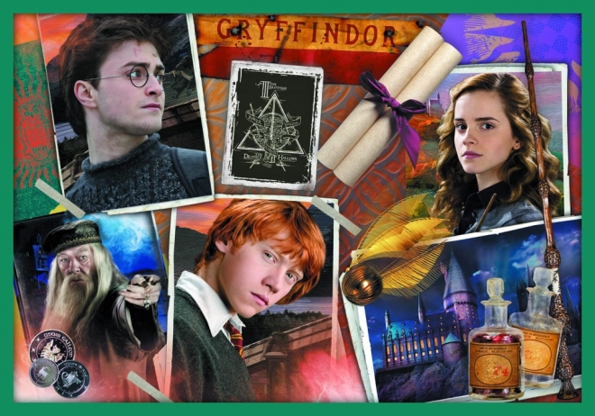 Puzzle Harry Potter - Dans le monde d'Harry Potter 10 en 1