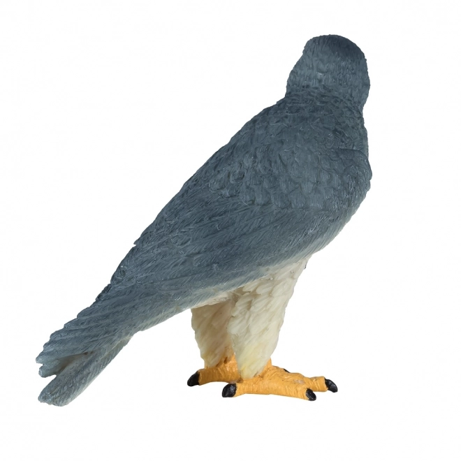 Mojo Faucon pèlerin