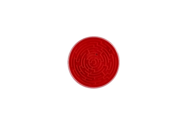 Labyrinthe (jeu d'observation, Direction)