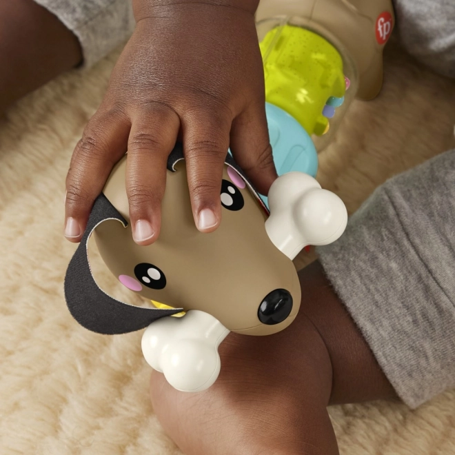 Fisher Price Teckel à cliquetis et cliquetis HTW91