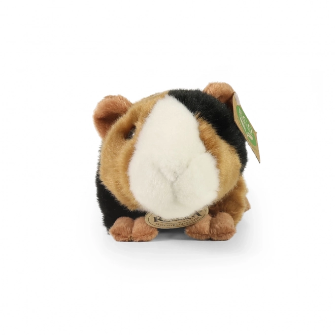 Cochon d'Inde en peluche de Rappa 22 cm écologique