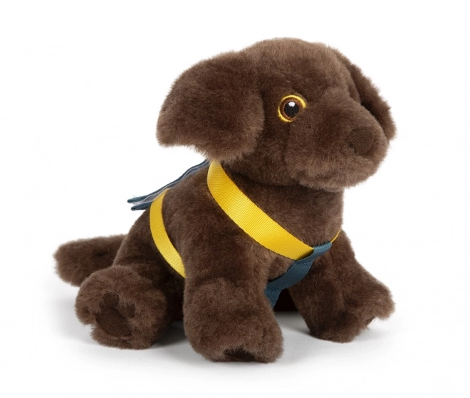 Petit chien en peluche avec set de soins