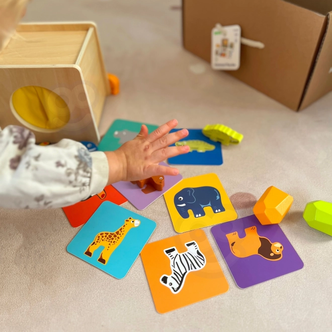 Boîte Montessori éducative pour enfants âgés de 31 à 36 mois