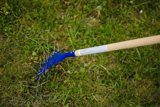 Forme éventail pour feuilles et aiguilles