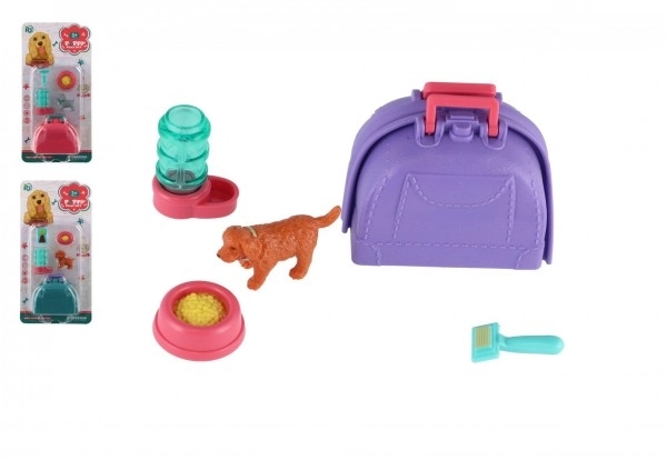 Petit chien avec boîte de transport et accessoires