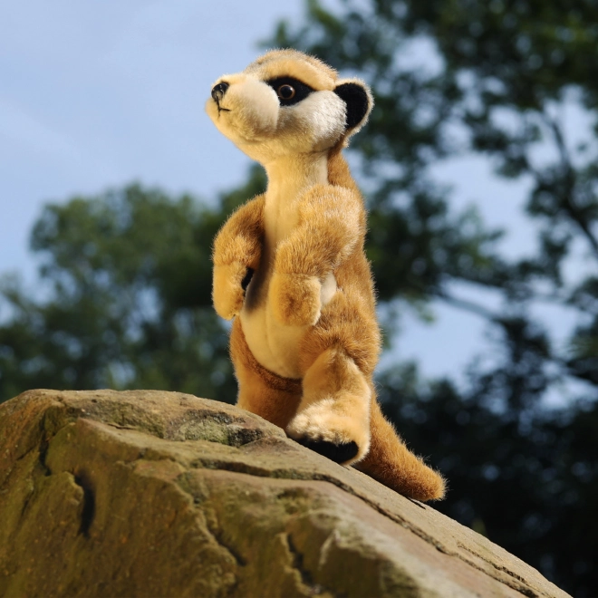 Suricate debout en peluche 30 cm ÉCO-RESPONSABLE