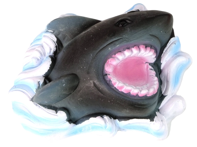 Fossile de requin réaliste