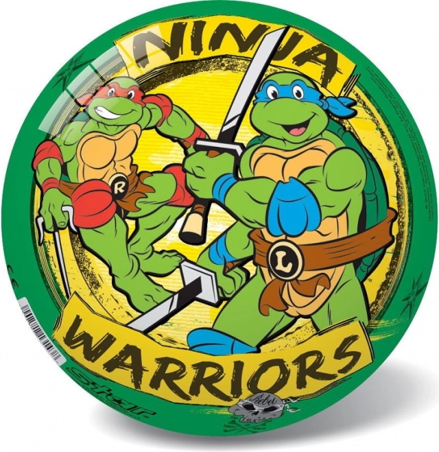 Balle Rétro Tortues