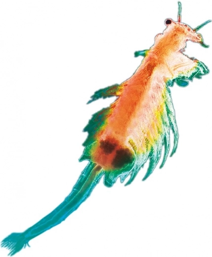 La science vivante à la maison