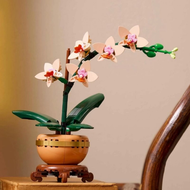 Lego Botanicals Petite Orchidée