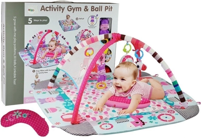 Grande aire de jeu pour enfants 5-en-1 avec hippopotame et balles