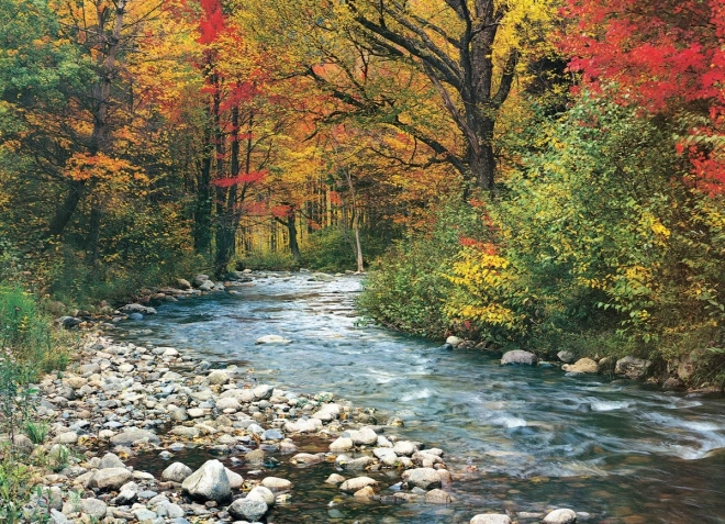 EUROGRAPHICS Puzzle Ruisseau forestier 1000 pièces