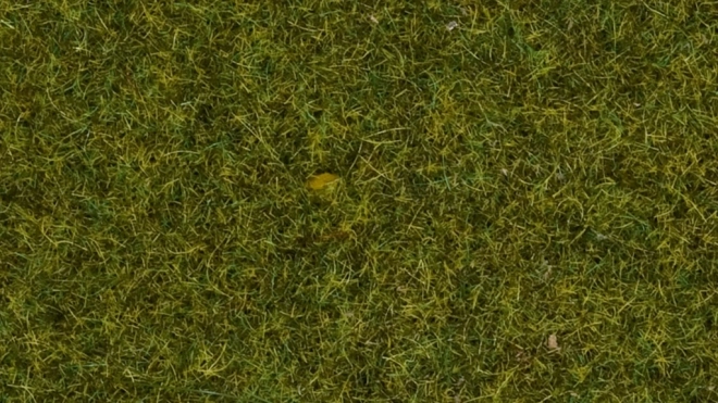 Herbe statique Noch prairie sauvage, 9 mm
