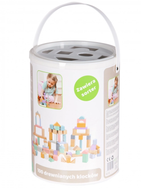 Blocs en bois 100 pcs dans un seau avec trieur Ecotoys