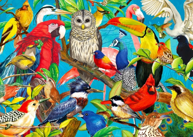 Puzzle Folie Plumeuse 1000 Pièces