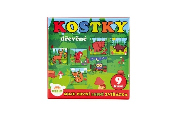 Cubes Kubus Mes Premiers Animaux Bois
