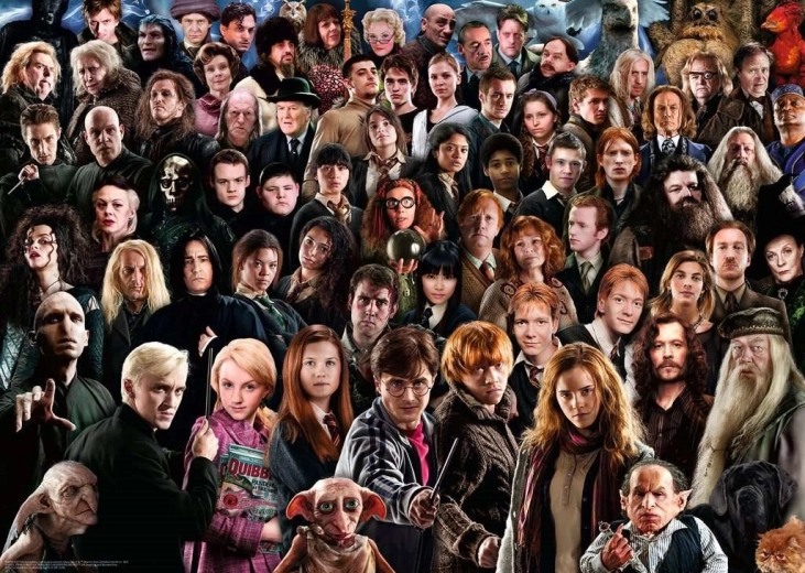 puzzle challenge harry potter 1000 pièces
