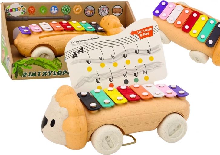 Cymbales Lion sur roues Outil éducatif coloré pour enfants