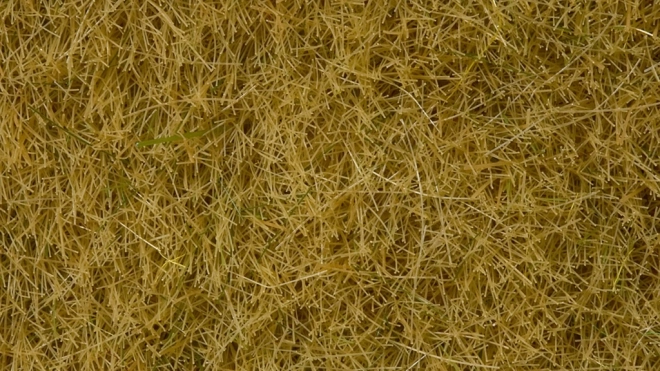 Herbe statique sèche 6 mm