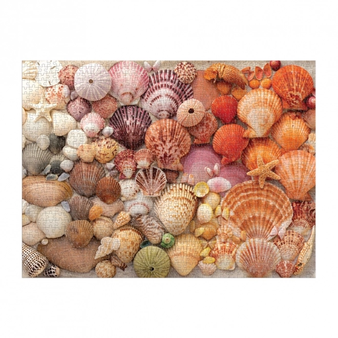 Puzzle Coquillages Éclatants 1000 pièces