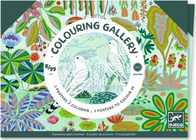 DJECO Galerie de coloriage Sauvage