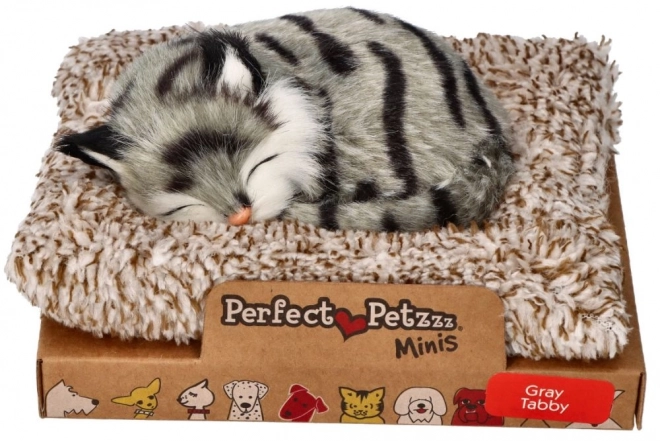 Chaton interactif gris tigré