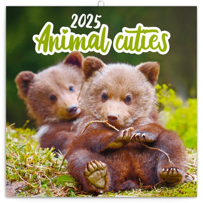 Calendrier de notes Bébés 2025, 30 × 30 cm