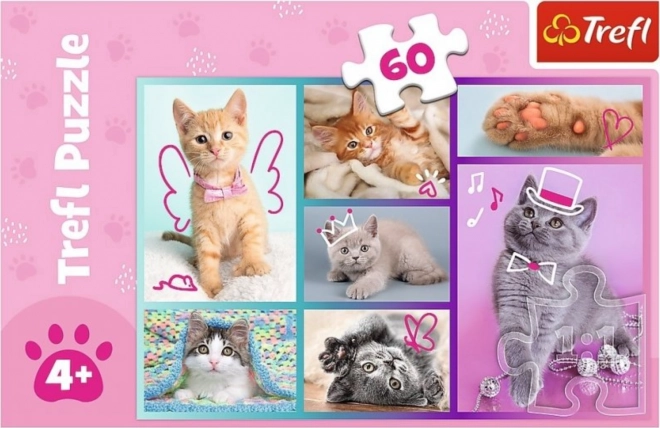 Puzzle 60 pièces Douces chatons