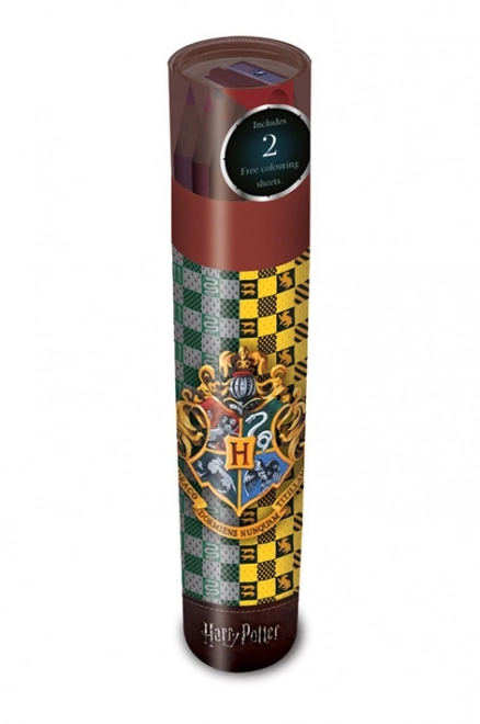 Crayons de couleur Harry Potter en étui