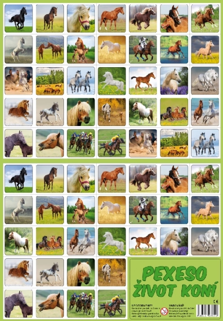 Memory Chevaux – La vie des chevaux