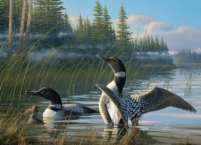 Motif unique de huards dans la nature