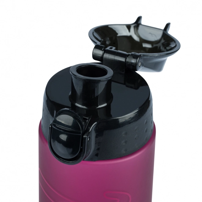 BAAGL Bouteille Tritan pour Boisson Ruby, 700 ml