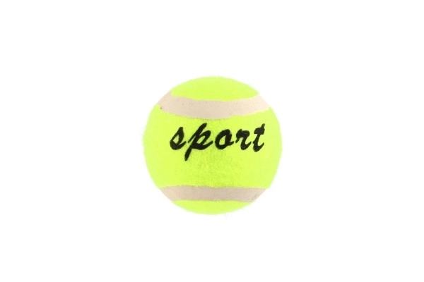 Ballons de tennis - 3 pièces