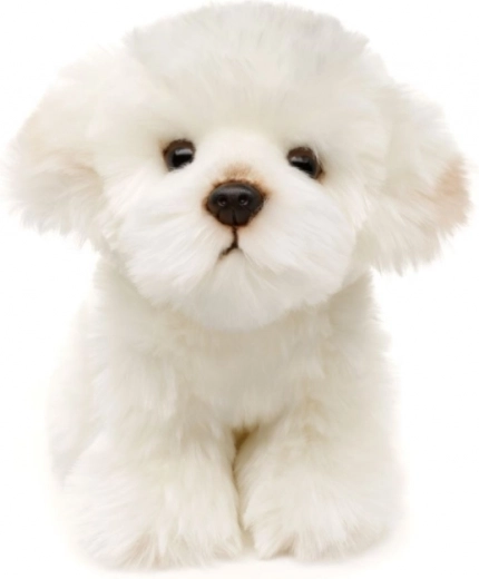 Conception éco-responsable et sûre