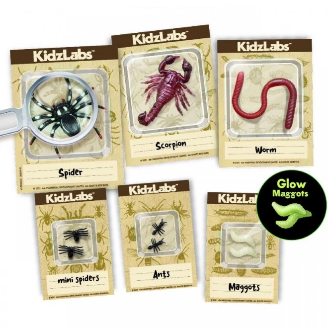 Fouilles Épouvantables