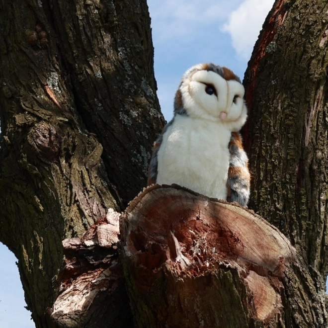 Chouette effraie en peluche 27 cm ECOLOGIQUE
