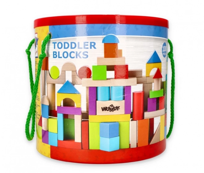 Blocs en bois colorés 100 pcs