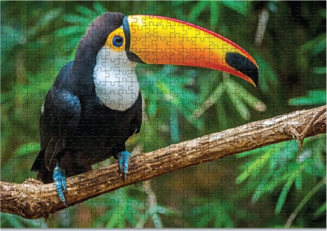 Puzzle Toucan 500 pièces