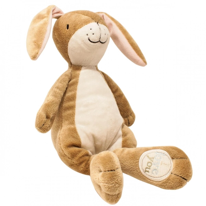 Arc-en-ciel Devine combien je t'aime ! Grand lapin en peluche