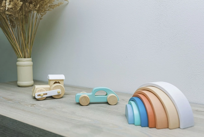Voiture de sport en bois, Menthe