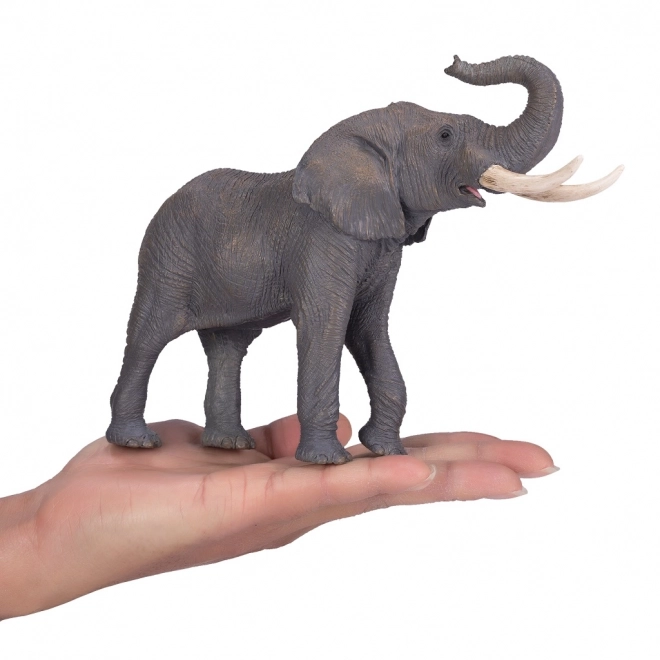 Mojo Él&eacute;phant d'Afrique
