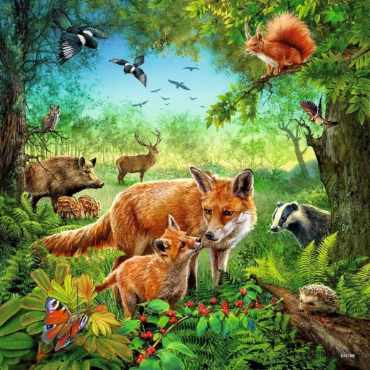 Couleurs vives et illustrations détaillées
