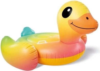 Embarcation gonflable Canard